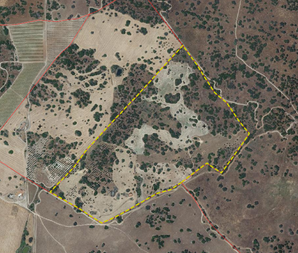 Herdade em São Pedro do Corval – 30ha