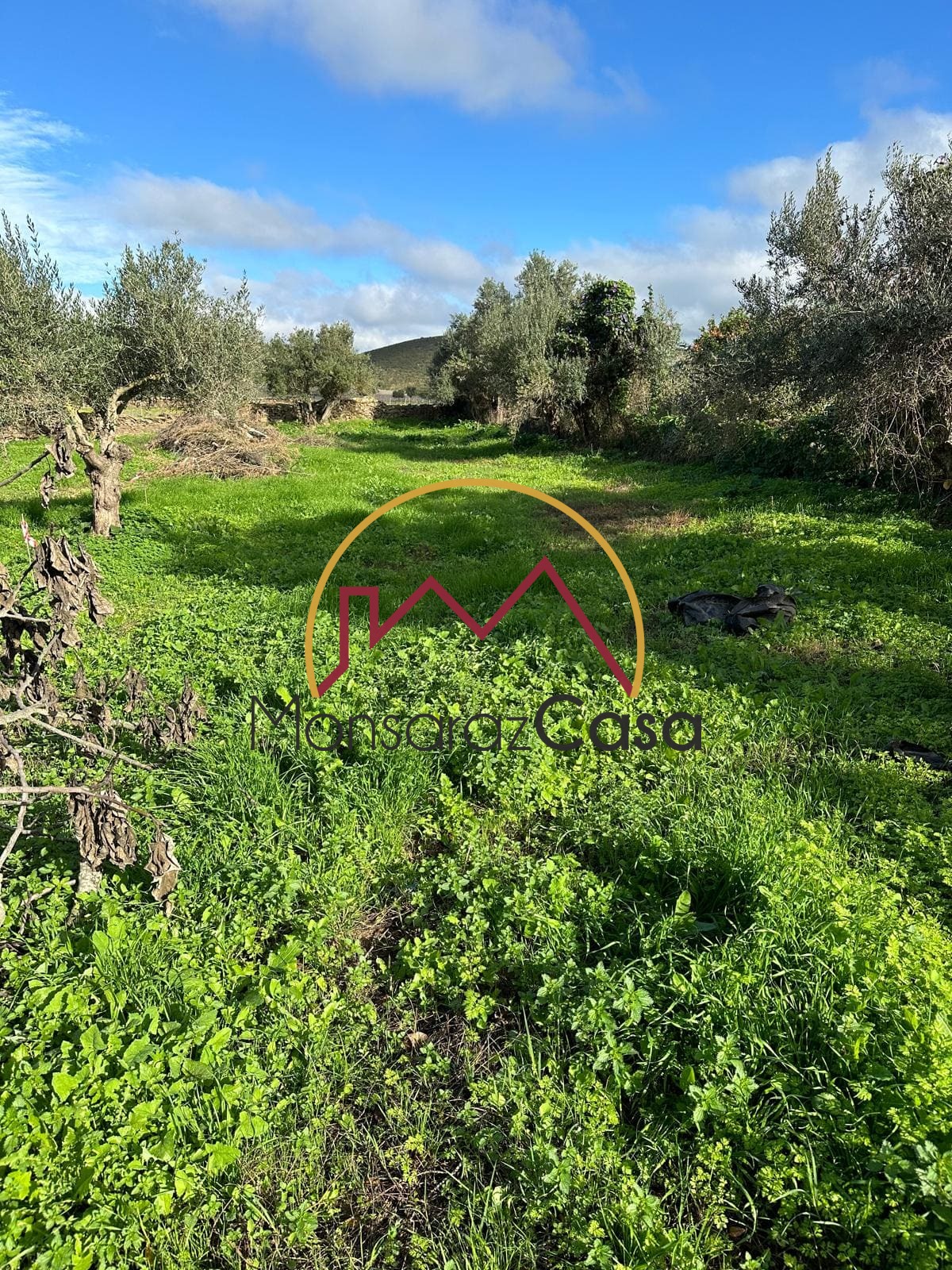 Terreno para construção em Motrinos