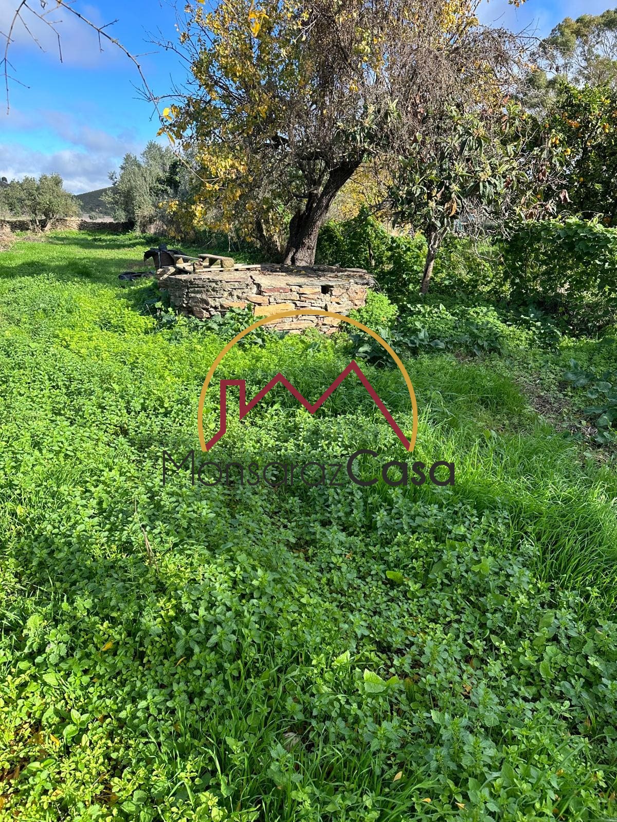 Terreno para construção em Motrinos