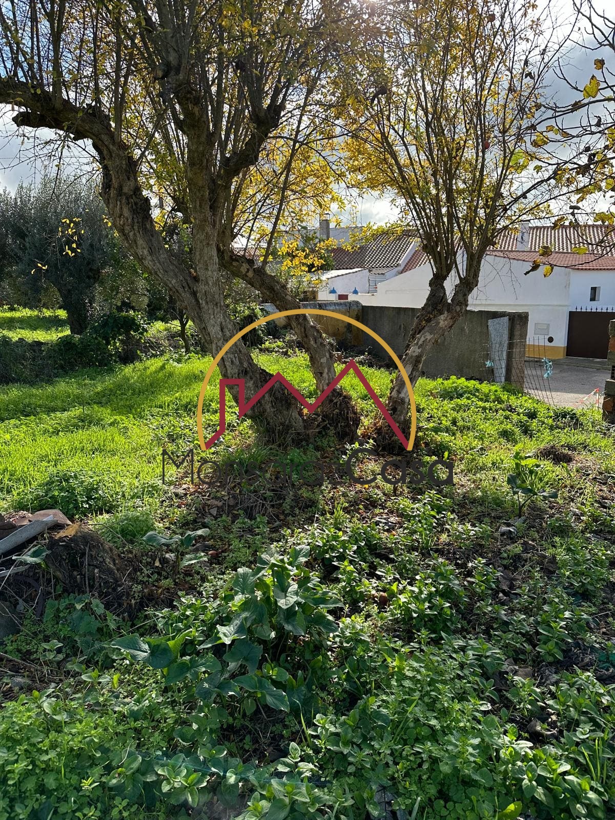 Terreno para construção em Motrinos