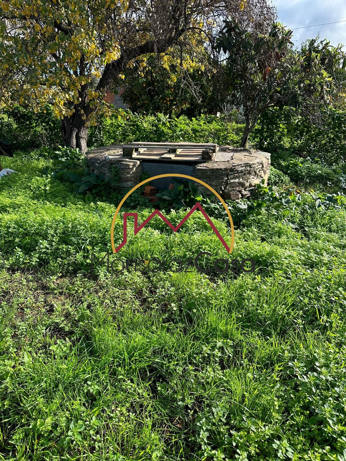 Terreno para construção em Motrinos