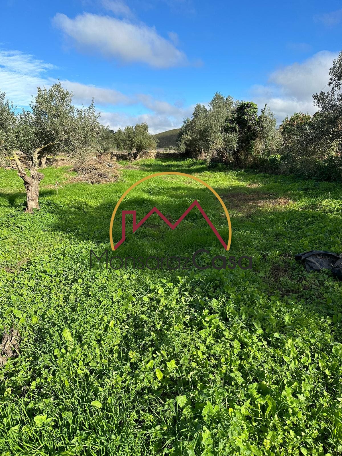 Terreno para construção em Motrinos