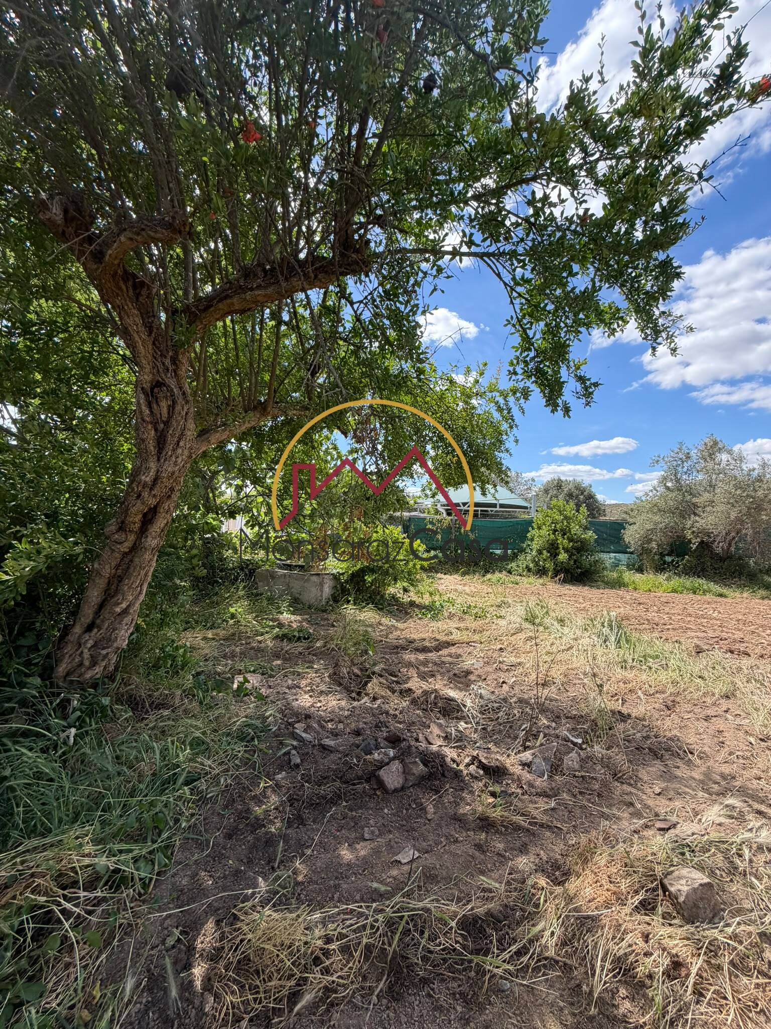 Lote de 2 terrenos para construção – Motrinos
